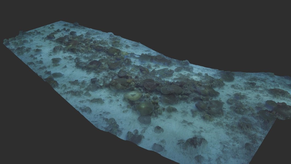 Port Refuge Unid Shipwreck Cocos Keeling Islands