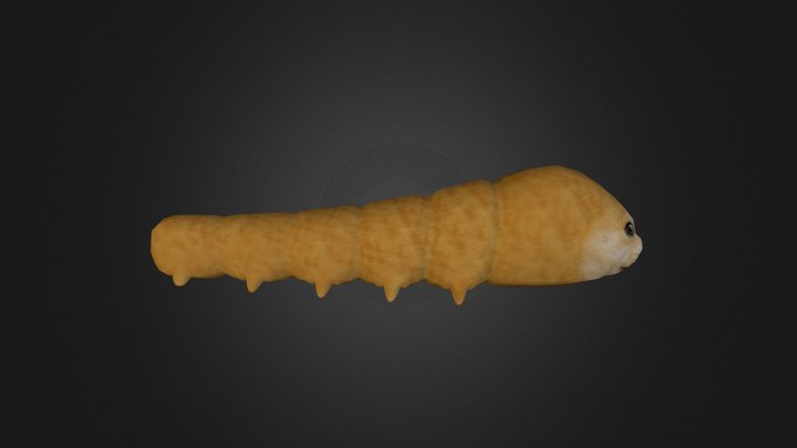 Bug 3D Model
