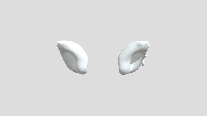 Werewolf Ears 3D Model