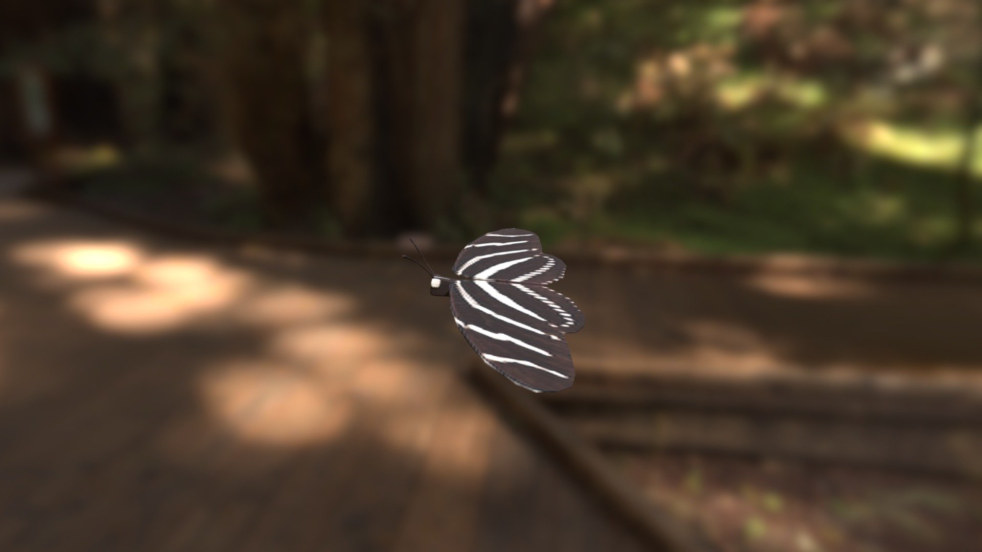 Zebra Longwing