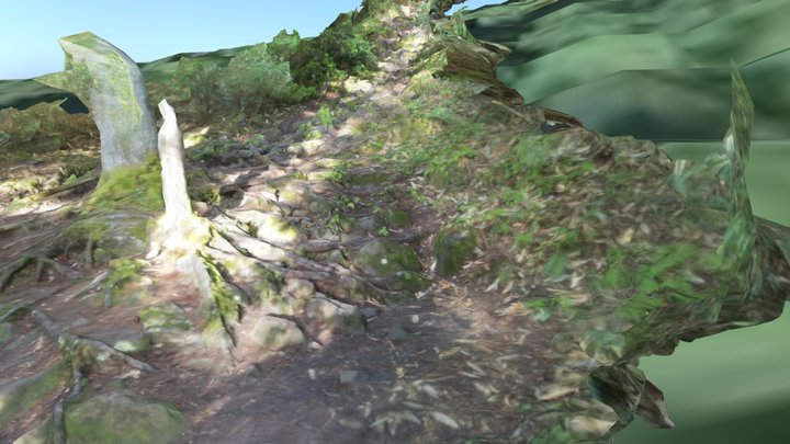 トムラウシ登山道 5 / Mt.Tomuraushi trail 5