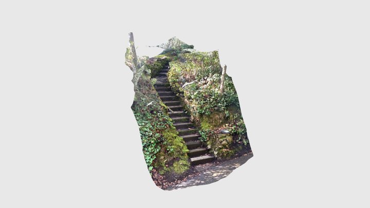 Forest stairs 3D Model