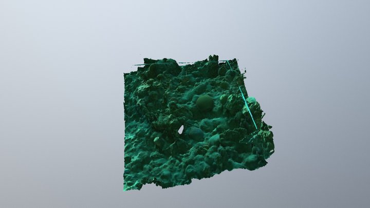 Coral Reef around Utila, Honduras, 2016 - SP 3D Model