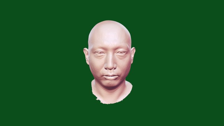 Whole head – Modello 3D gratuito STL