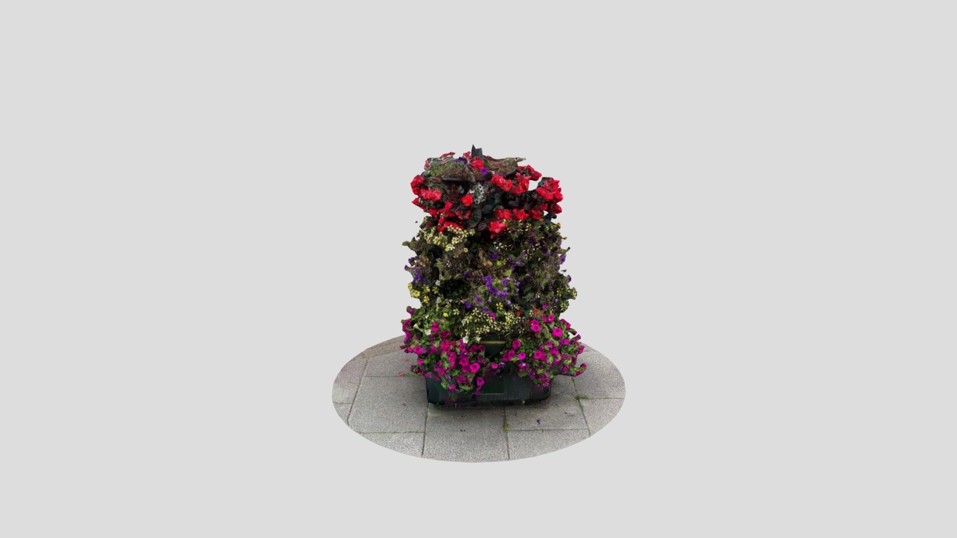 Floral scan - Download Free 3D model by iteacher [fce1ffd] - Sketchfab