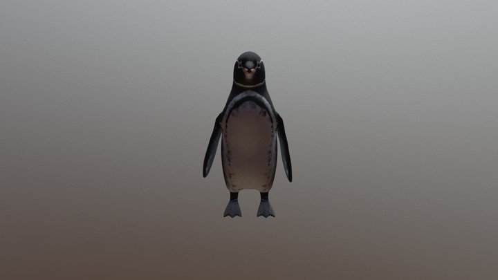 Pinguino 3D Model