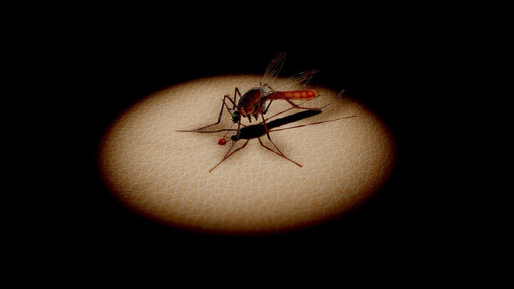 MOSQUITO 3D Model