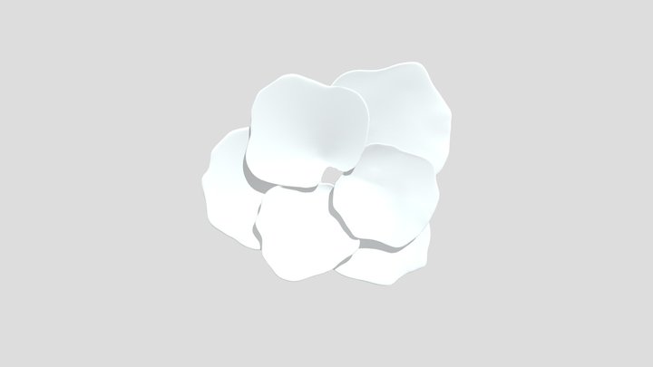 Merged_ Petals 3D Model