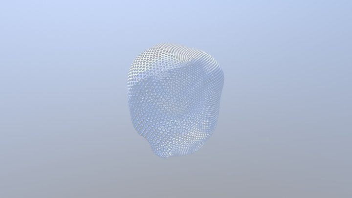 Honeycomb Any Surface Even Organic - By Dizingof 3D Model