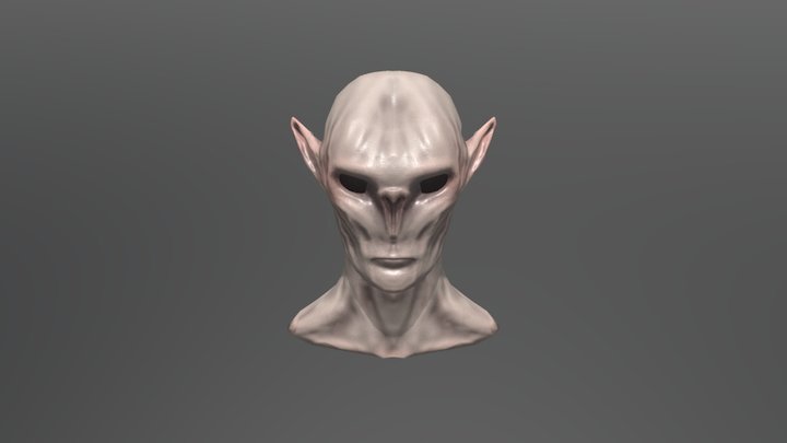 Texture elf 3D Model