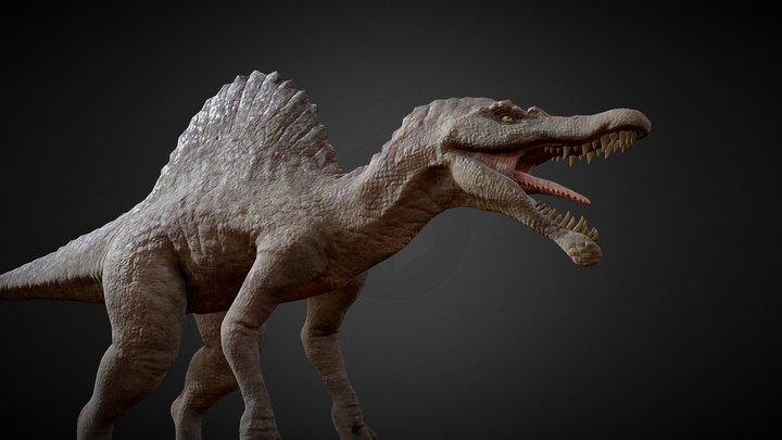 Spinosaurus 3D Model