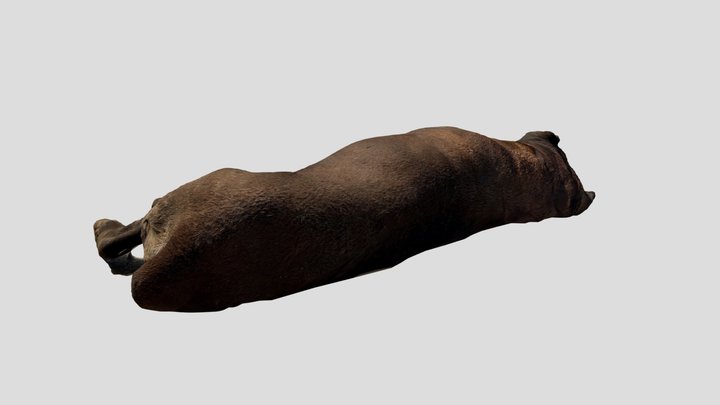 Brutus The Lazy Dog 3D Model