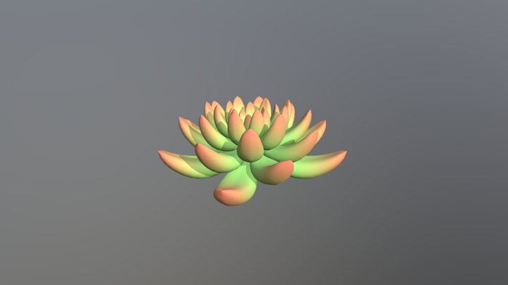 Stylized Succulent Plant 3D Model