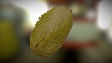 Napa cabbage 3D Model