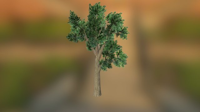 Oak 3D Model