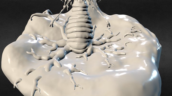 Tree creature (concept) 3D Model