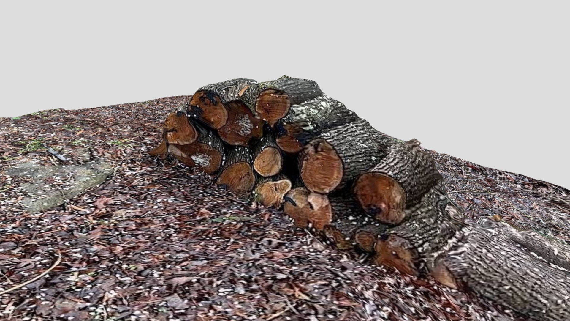 Blossom Covered Firewood-poly