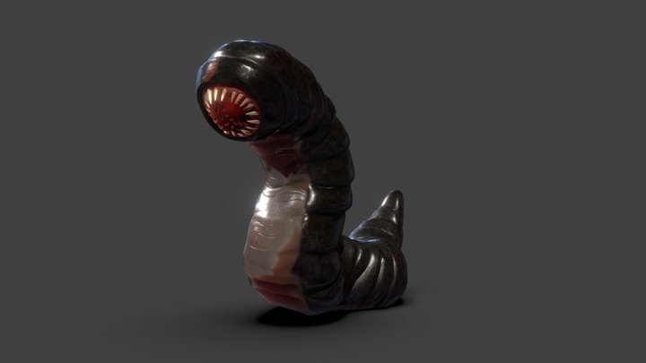 The Worm 3D Model