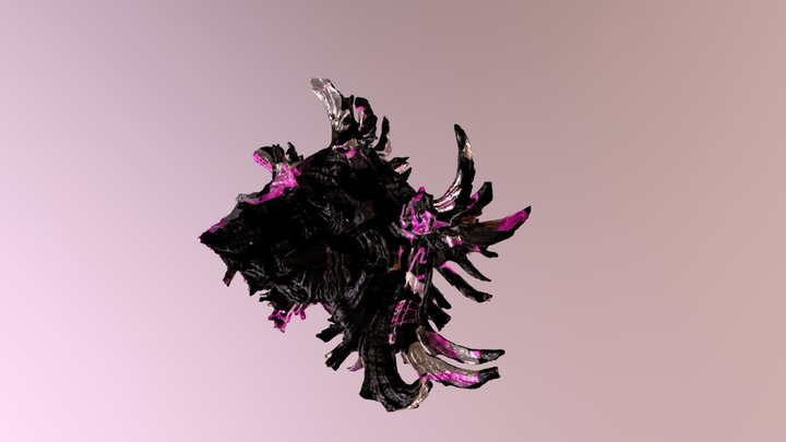 Endive Murex Shell _ RISD Nature Lab 3D Model
