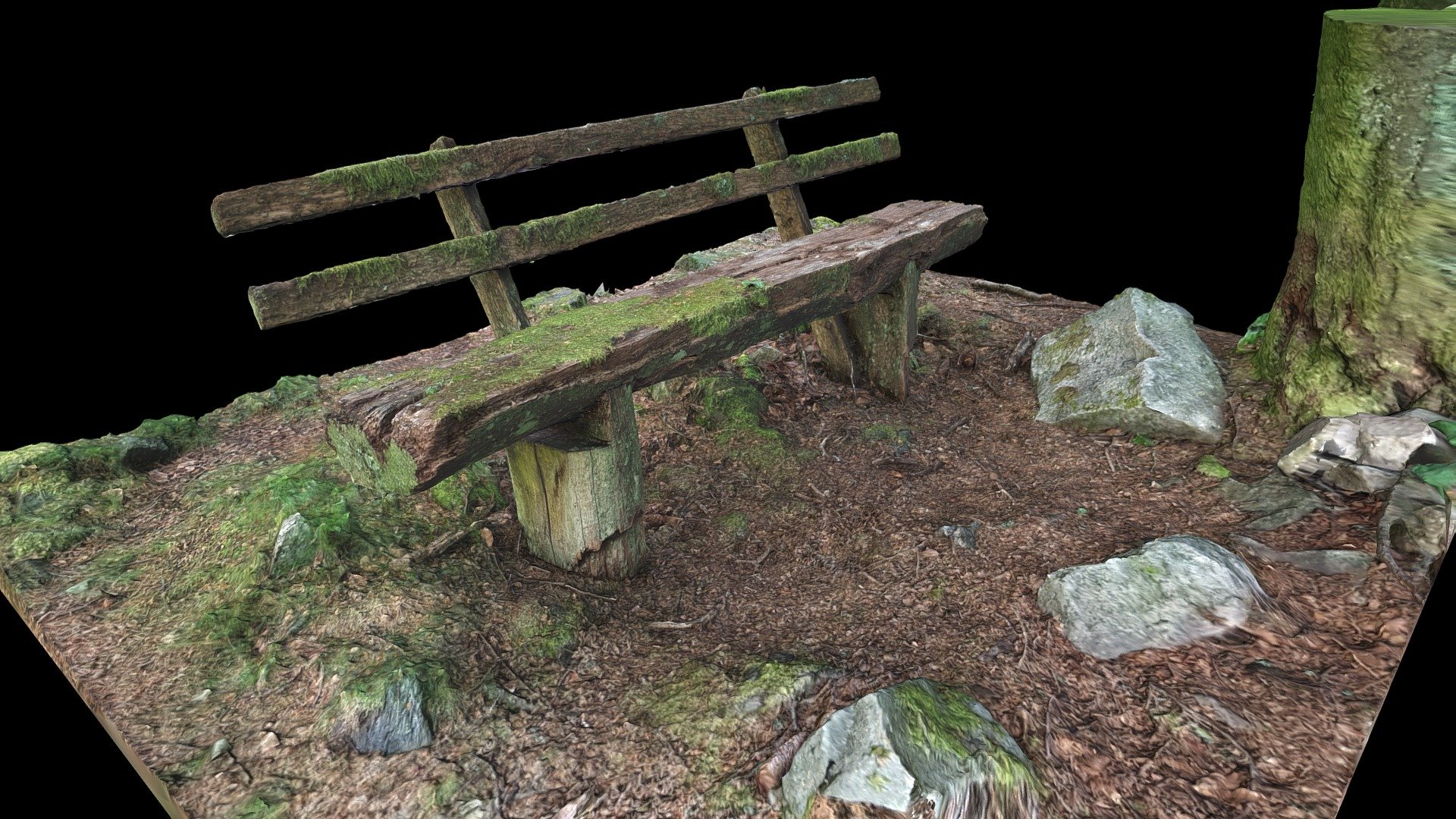 mossy wooden bench