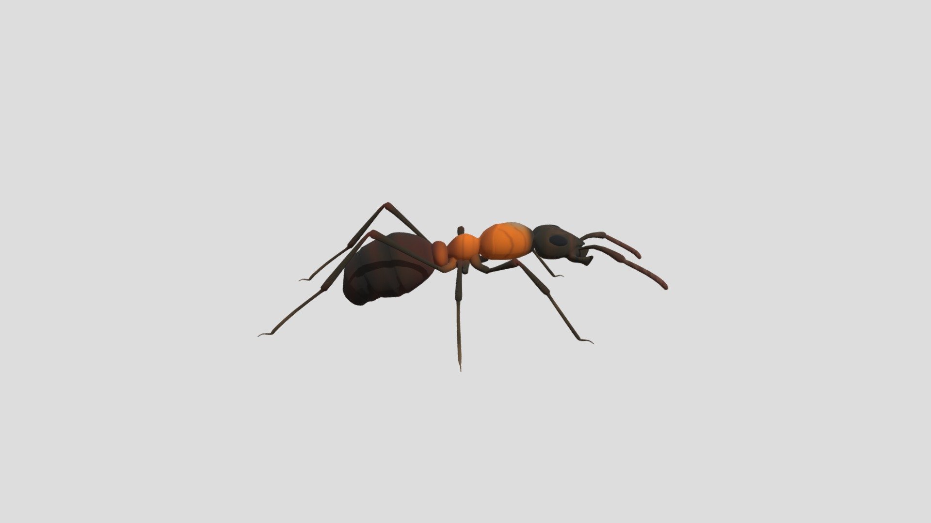 Fire-ant-obj
