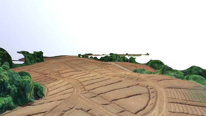 L201 Terreno Piña 3D Model