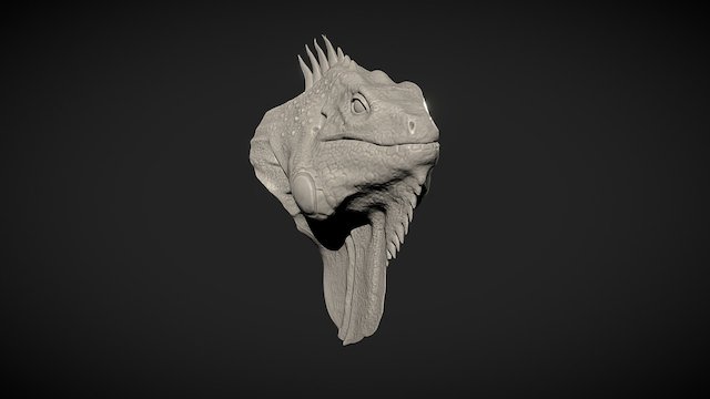 Iguana Head / Cabeza Iguana 3D Model