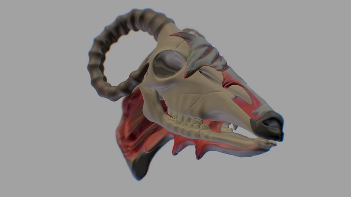 Head Zombie Ram 3D Model