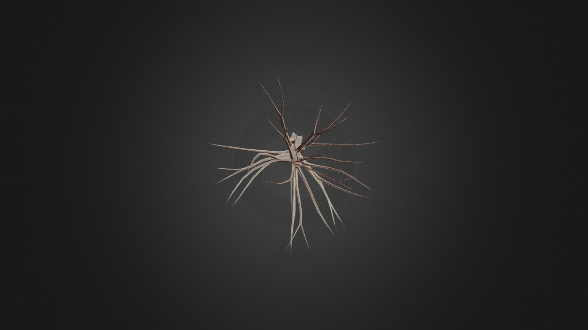 American Beech Trunk - 3D model by Magic (@Skipdiewip) [fd04b75 ...