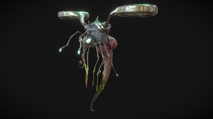 Exam Insect Low 3D Model