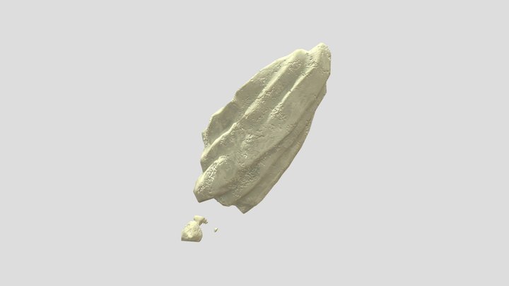 Pitted Rock 3D Model