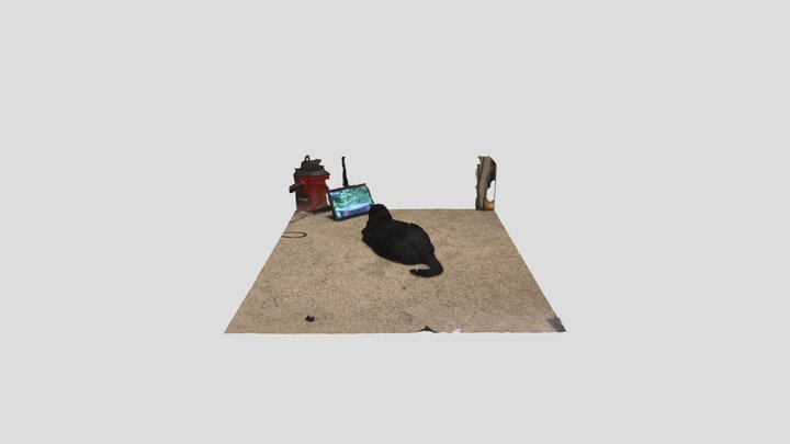 Black Cat 3D Model