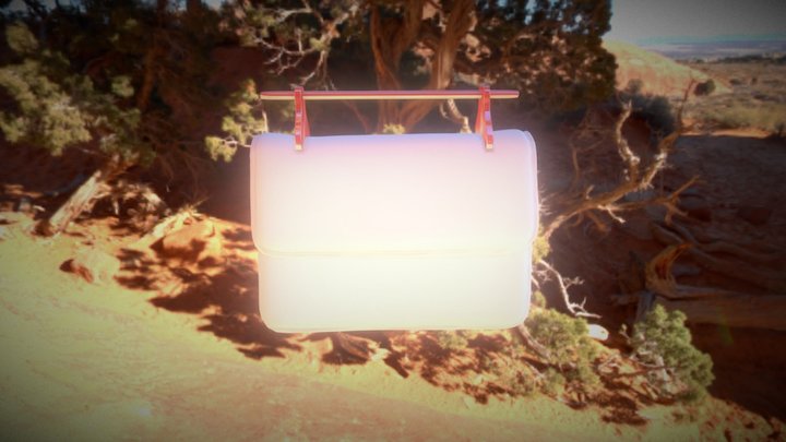 Bag 3D Model