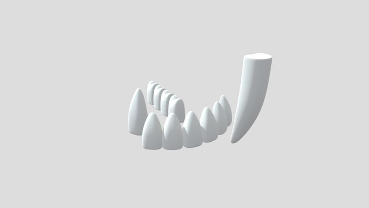 Feline teeth pack 3D Model