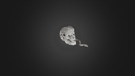 Gravity Sketch Skull and Snake 3D Model