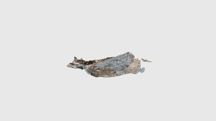 Glendun Formation, Cushendun 3D Model