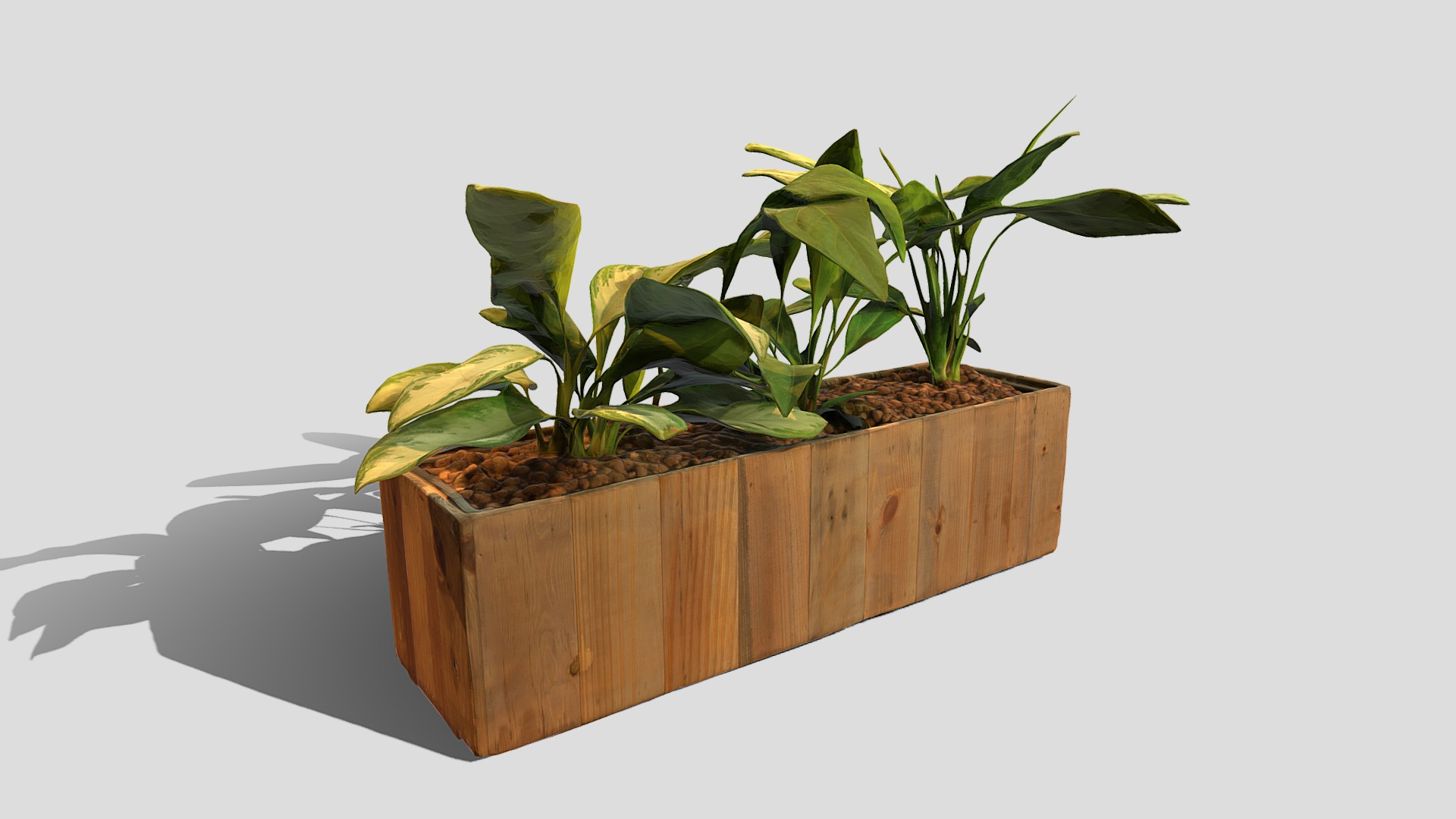 3D model Planter 2 - This is a 3D model of the Planter 2. The 3D model is about a plant on a wood surface.