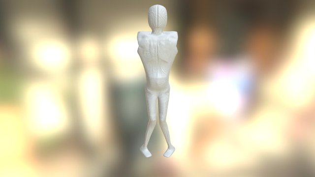 Acid 3D Model