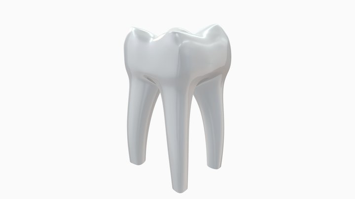 Tooth New 3D Model