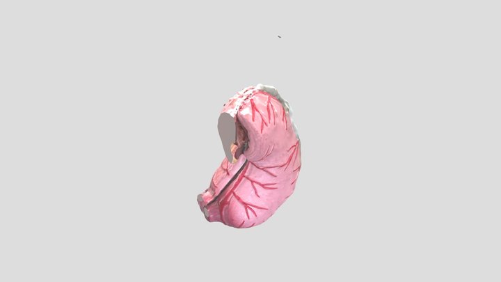 3DModel 3D Model