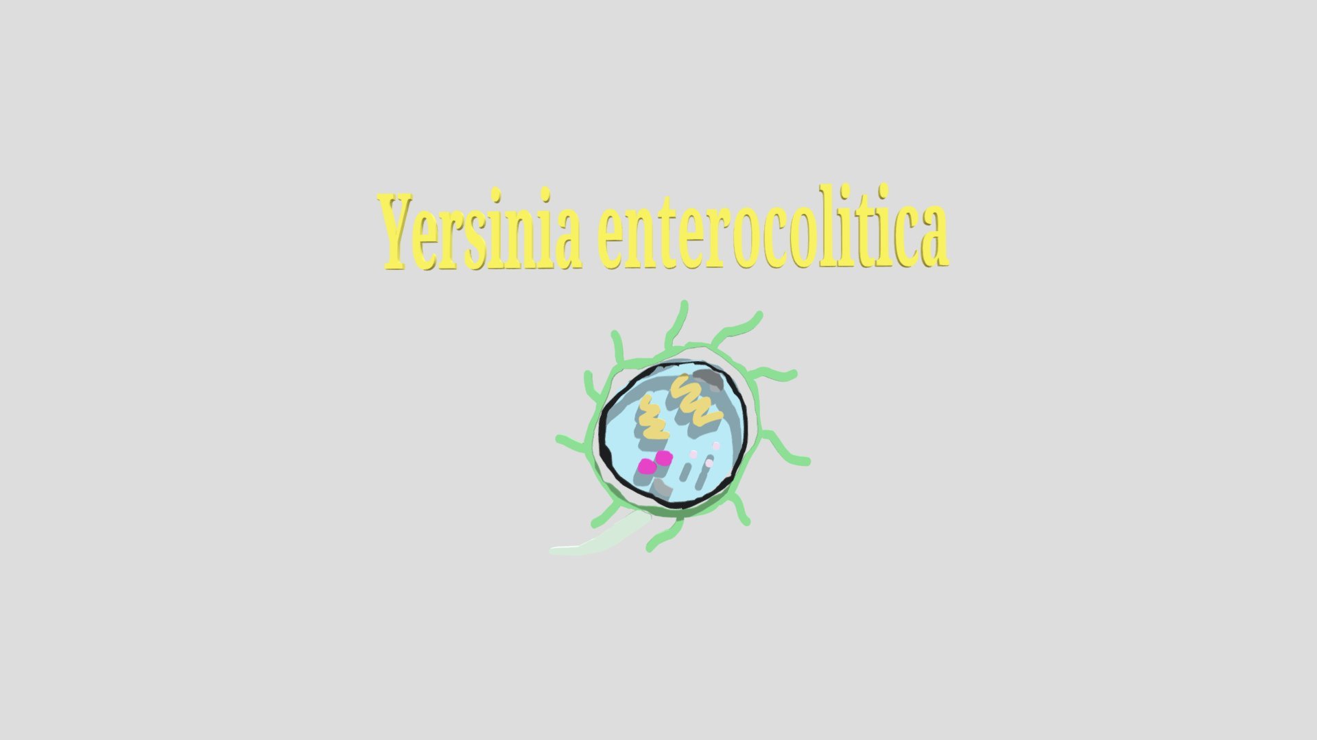 microughs_yersiniaenterocolitica_c