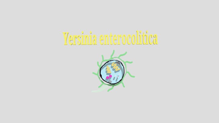microughs_yersiniaenterocolitica_c 3D Model