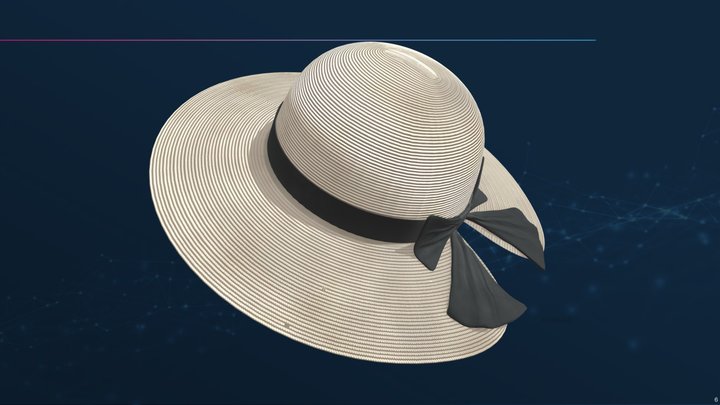 Beach Hat 2 3D Model