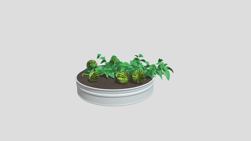 Watermelon Garden Planter