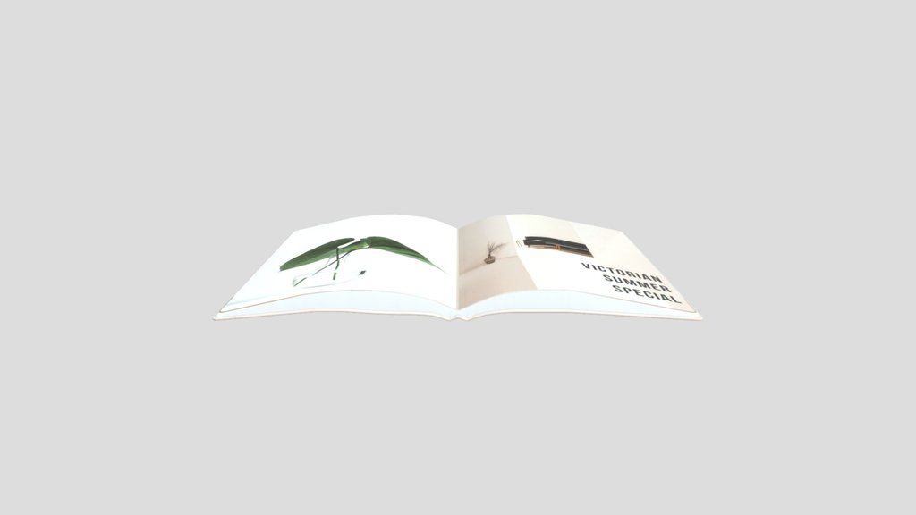 Magazine With Pages Open 2