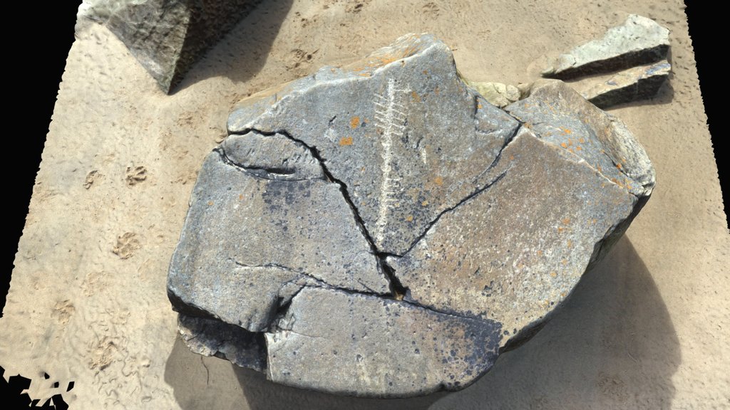Dunree Bay Modern Ogham