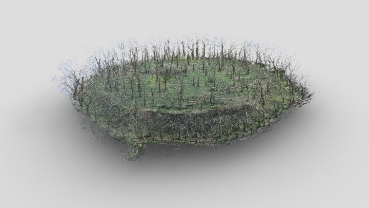 Lesingey Round: point cloud 3D Model