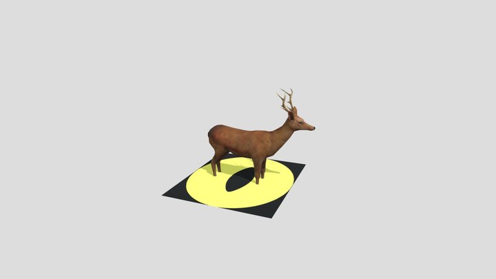 Deer