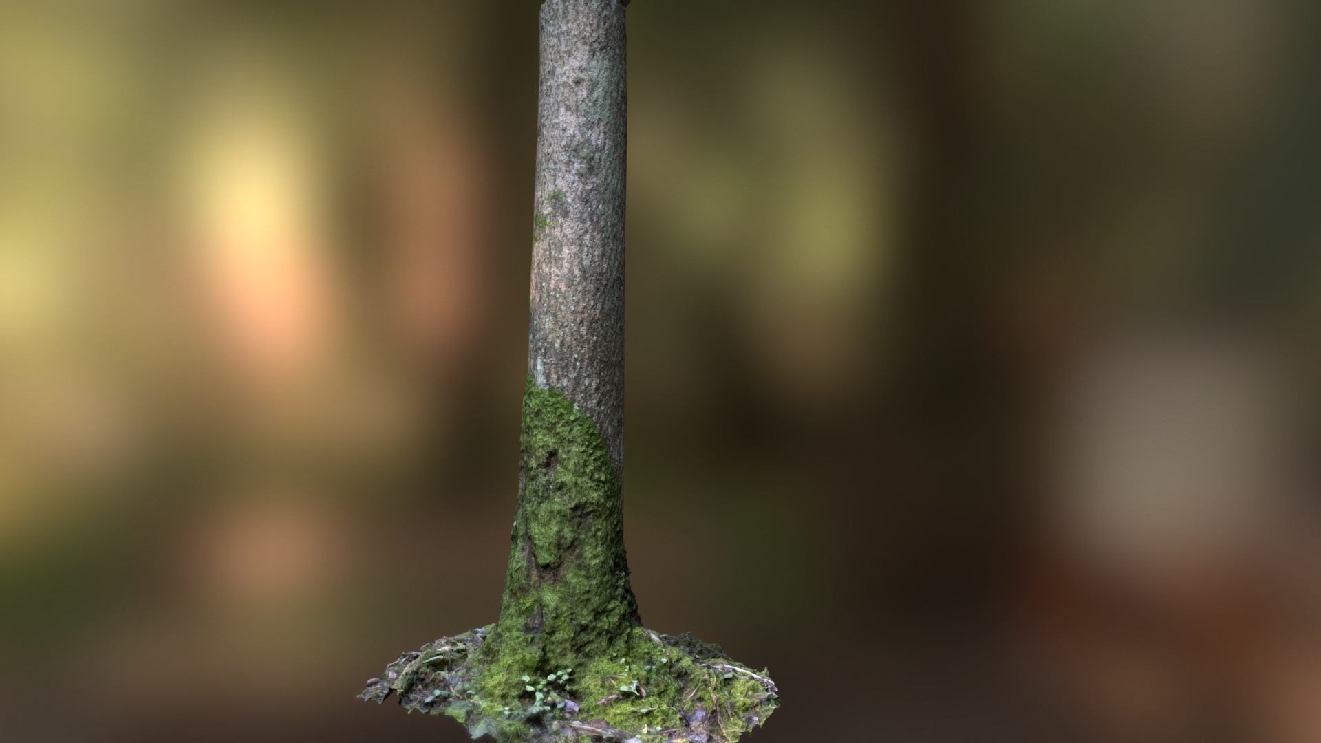 3D model Mossy tree trunk - This is a 3D model of the Mossy tree trunk. The 3D model is about a tree trunk with moss growing on it.