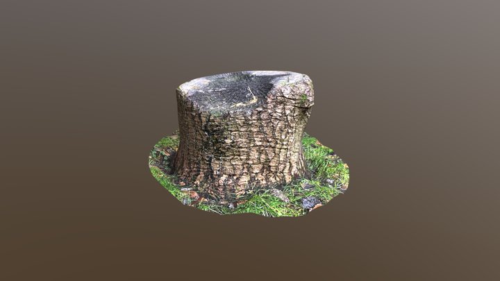 Tree Stump 01 3D Model